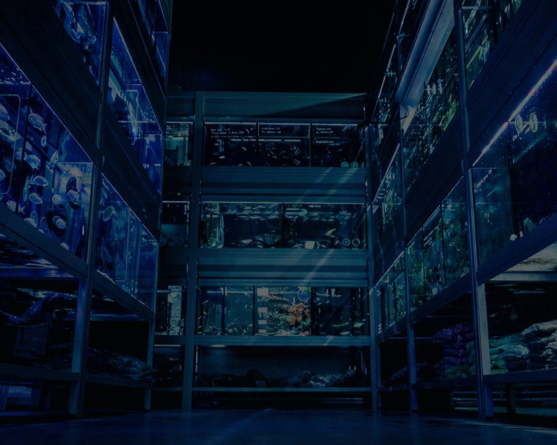 Afbeelding zonder ALT