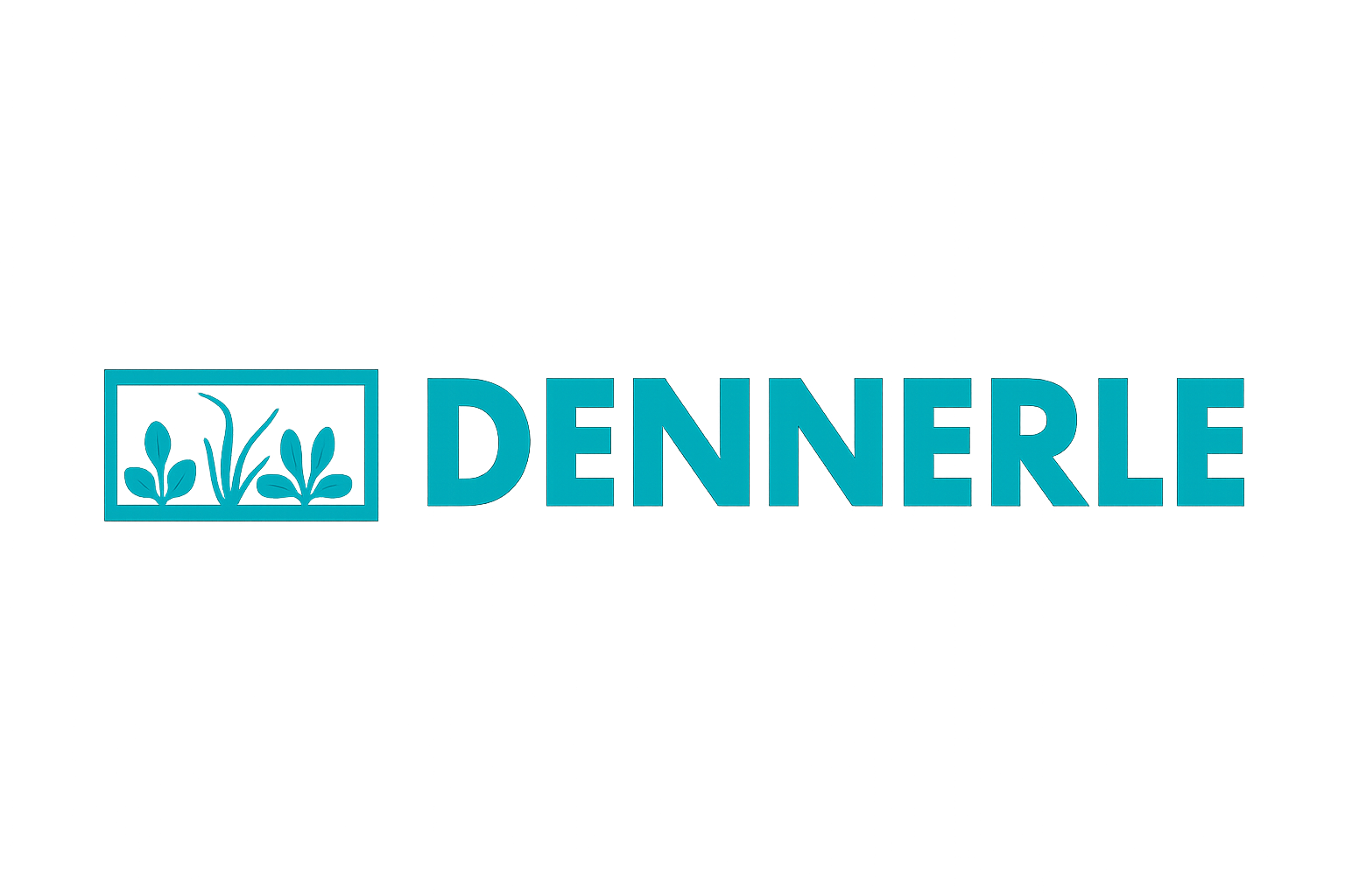 Afbeelding zonder ALT